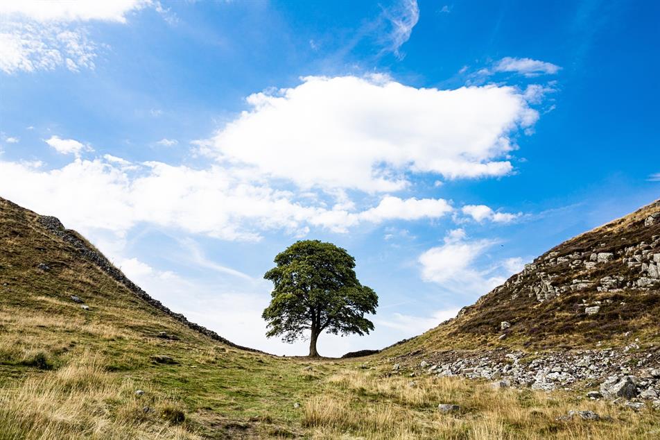 Sycamore Gap